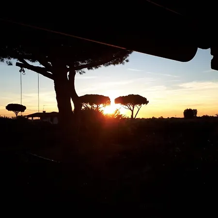 Podere Serena Apartment Castagneto Carducci