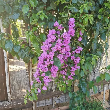 Podere Serena * كاستاجنيتو كاردوتشي