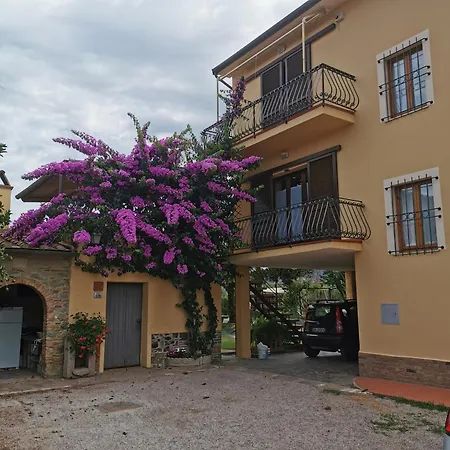 Podere Serena Castagneto Carducci