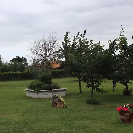 Podere Serena * Castagneto Carducci
